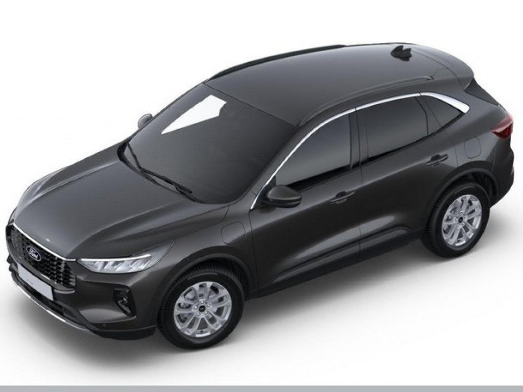 54516801-2.jpg