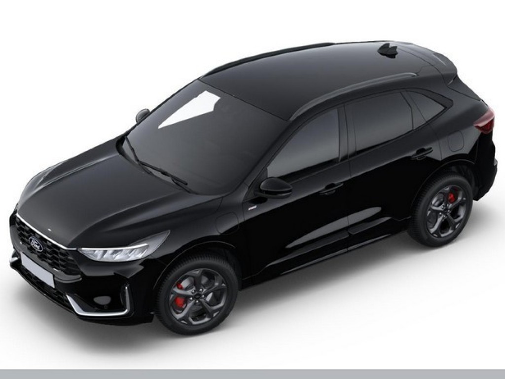 53636307-11.jpg